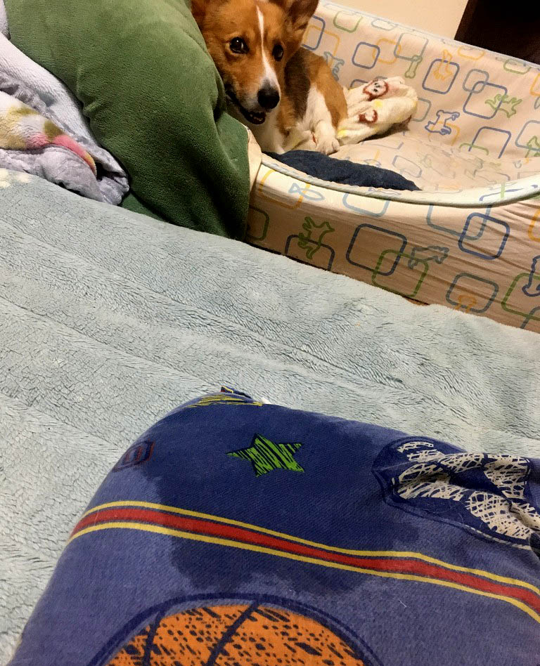 f:id:masami_takasu:20180623132453j:plain