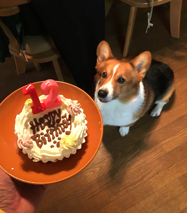 f:id:masami_takasu:20180623132525j:plain