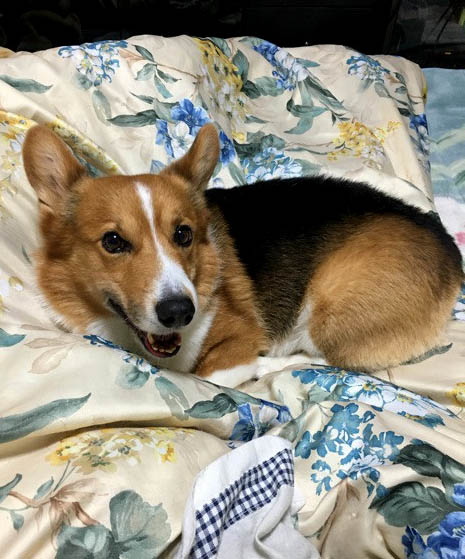 f:id:masami_takasu:20180623132539j:plain