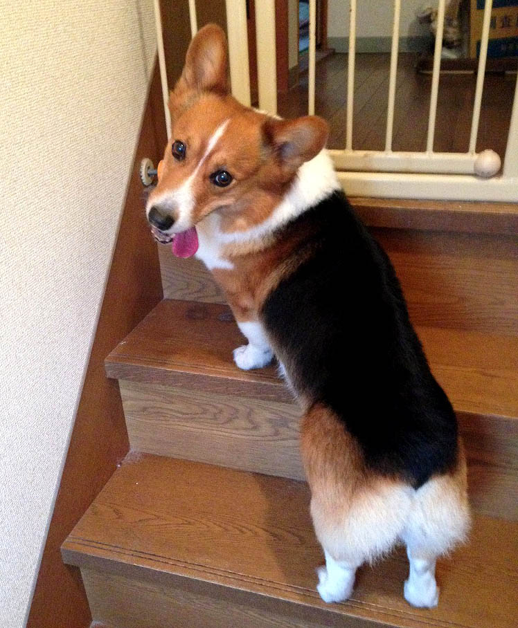 f:id:masami_takasu:20180623132602j:plain