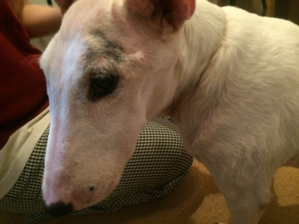 f:id:masami_takasu:20180624125446j:plain