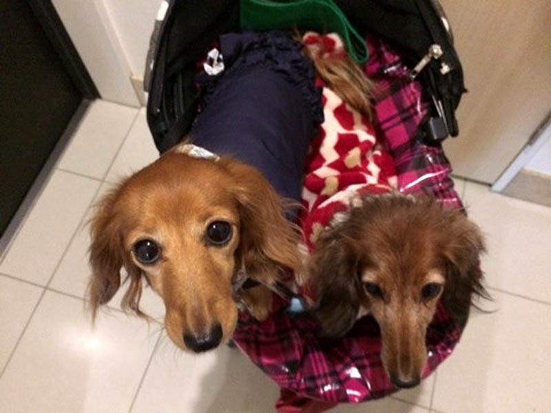 f:id:masami_takasu:20180625144304j:plain