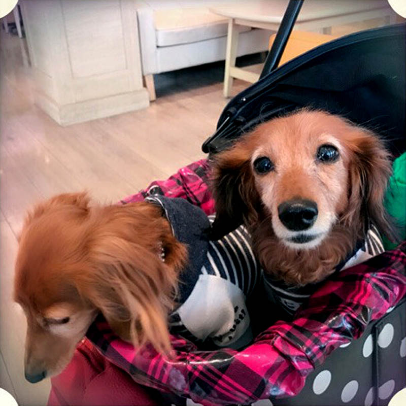 f:id:masami_takasu:20180625145250j:plain