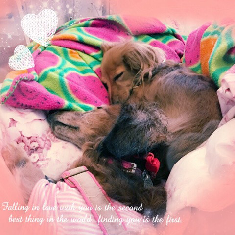 f:id:masami_takasu:20180625161940j:plain