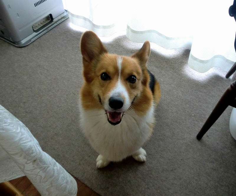 f:id:masami_takasu:20180626083159j:plain