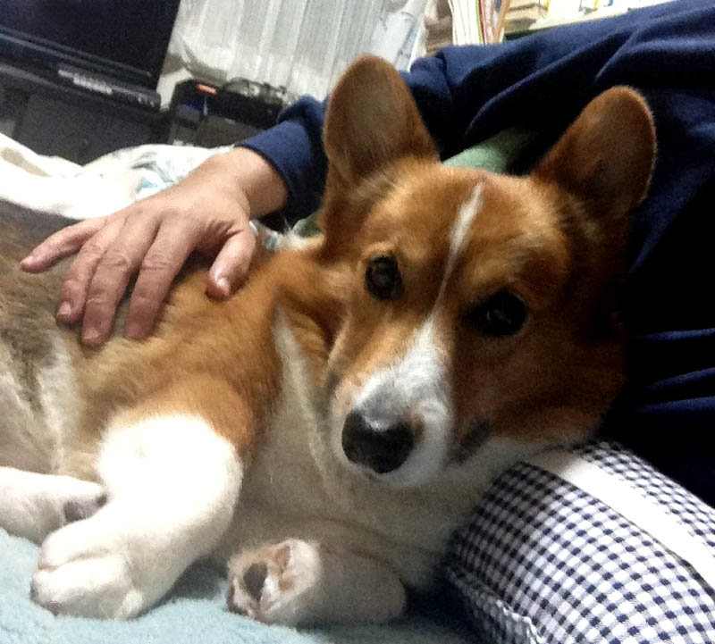 f:id:masami_takasu:20180626083217j:plain