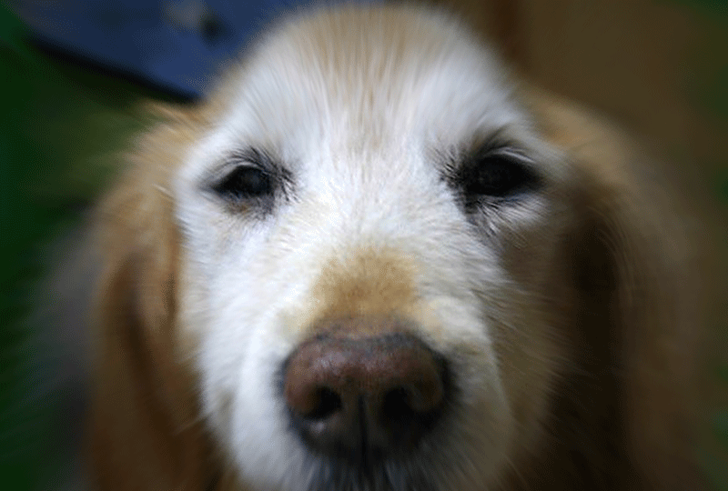 f:id:masami_takasu:20180629124752g:plain f:id:masami_takasu:20180629124752g:plain