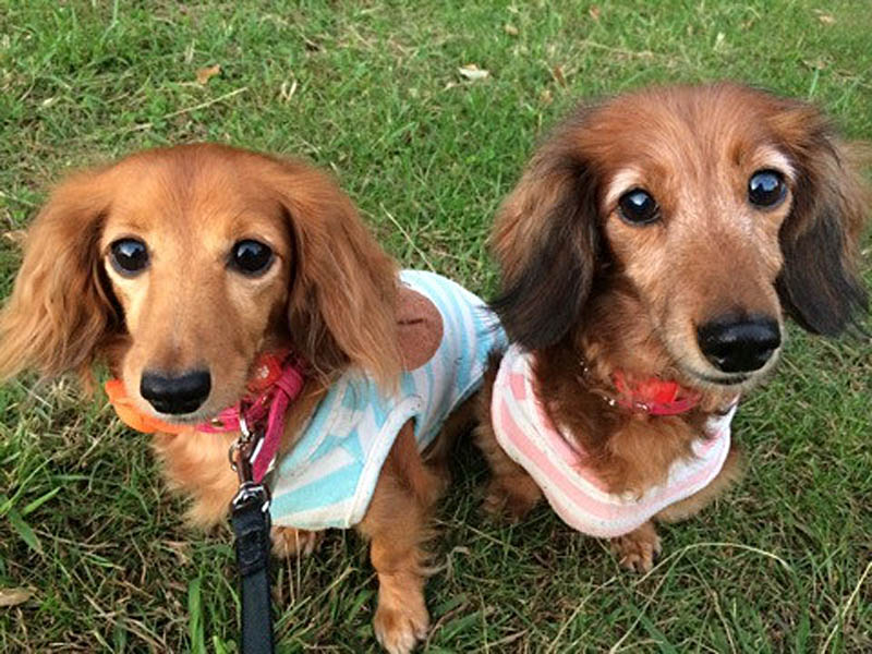 f:id:masami_takasu:20180701110700j:plain