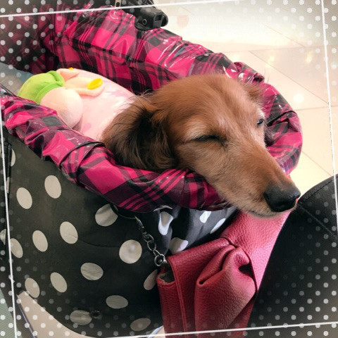 f:id:masami_takasu:20180701130300j:plain