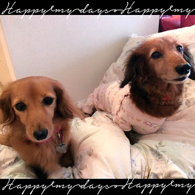 f:id:masami_takasu:20180701134712j:plain f:id:masami_takasu:20180701134712j:plain