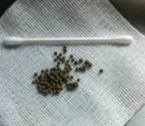 f:id:masami_takasu:20180702122600j:plain