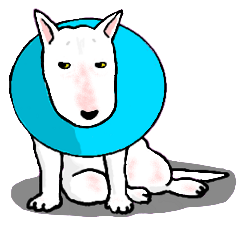 f:id:masami_takasu:20180702122929p:plain