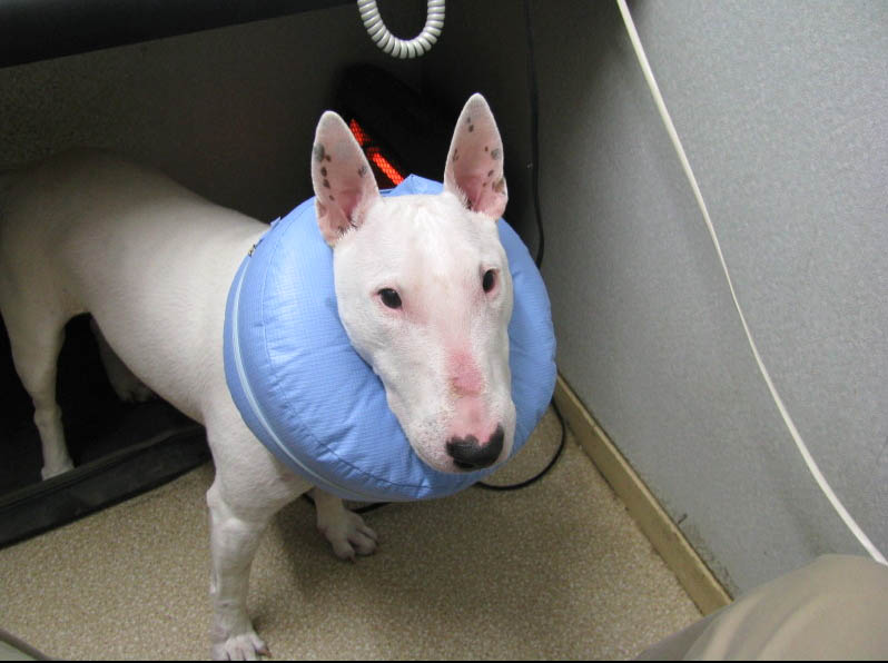 f:id:masami_takasu:20180702123024j:plain