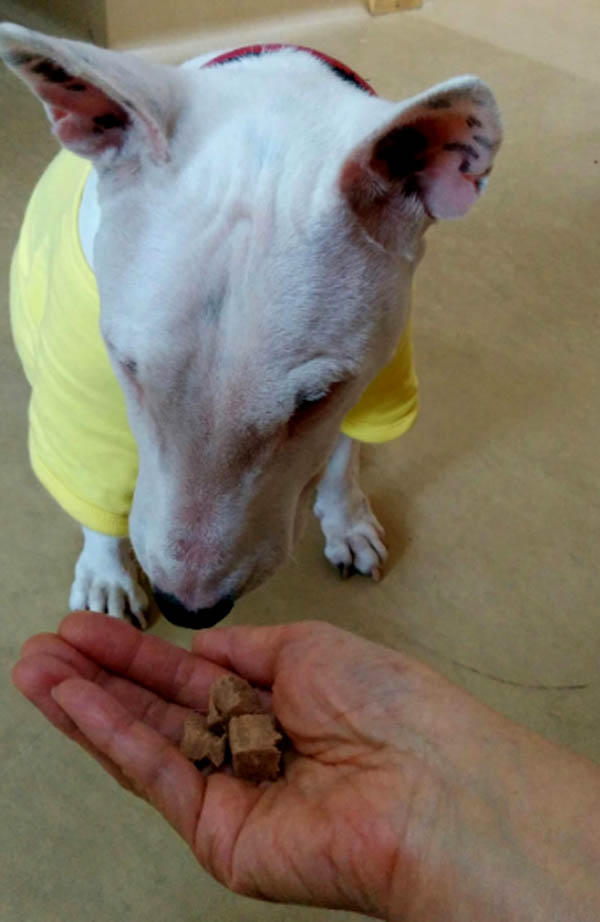 f:id:masami_takasu:20180702132521j:plain