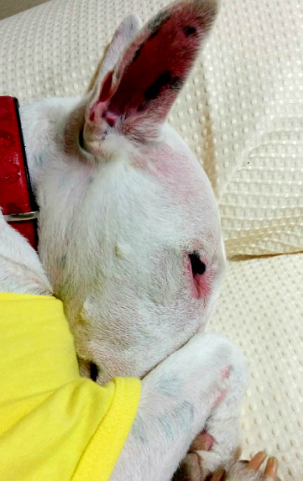 f:id:masami_takasu:20180702132746j:plain