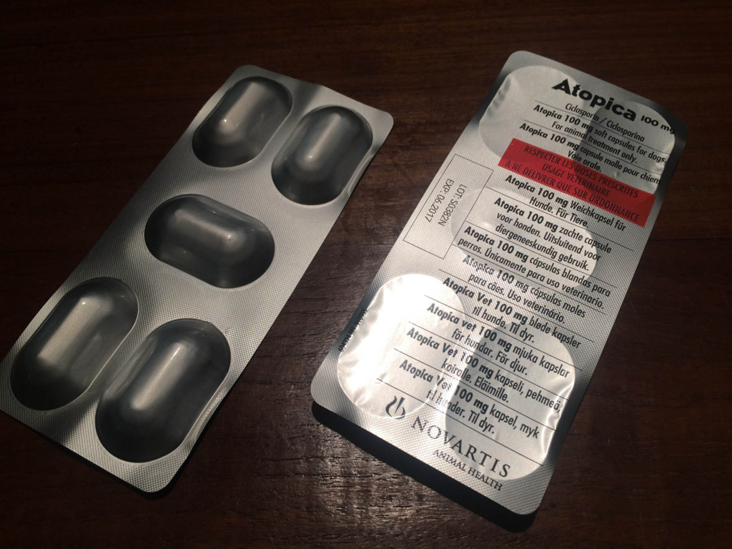 f:id:masami_takasu:20180720191704j:plain