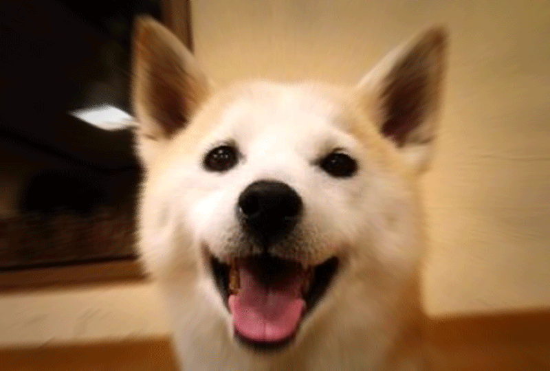 f:id:masami_takasu:20180722111322g:plain