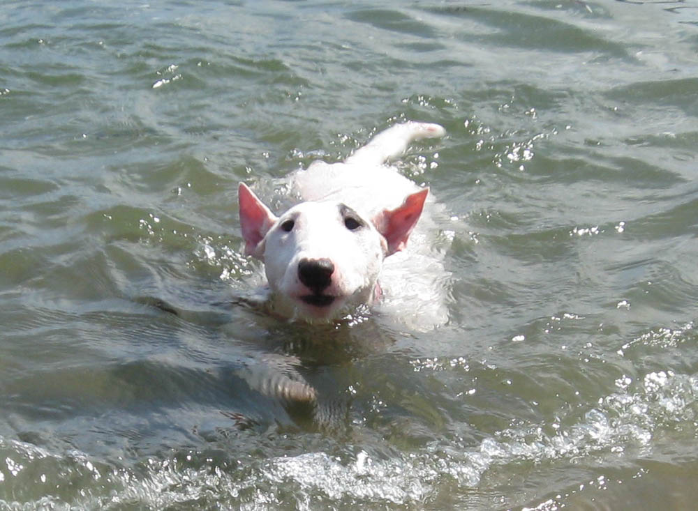 f:id:masami_takasu:20180722174618j:plain