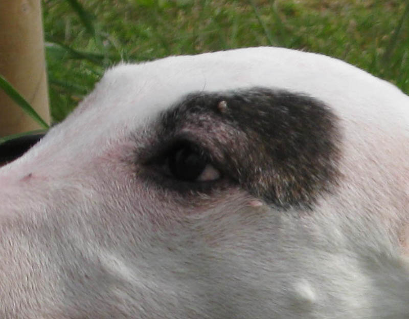 f:id:masami_takasu:20180722180639j:plain