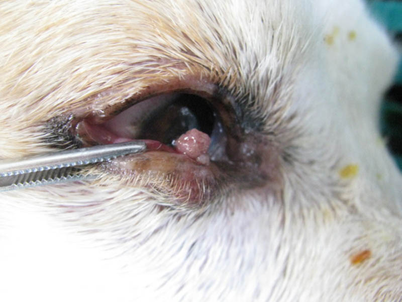 f:id:masami_takasu:20180723162614j:plain