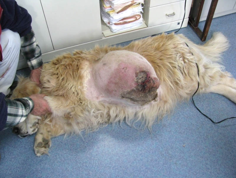 f:id:masami_takasu:20180723163130j:plain