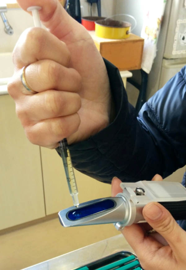 f:id:masami_takasu:20180724090956j:plain