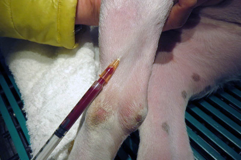 f:id:masami_takasu:20180724091557j:plain