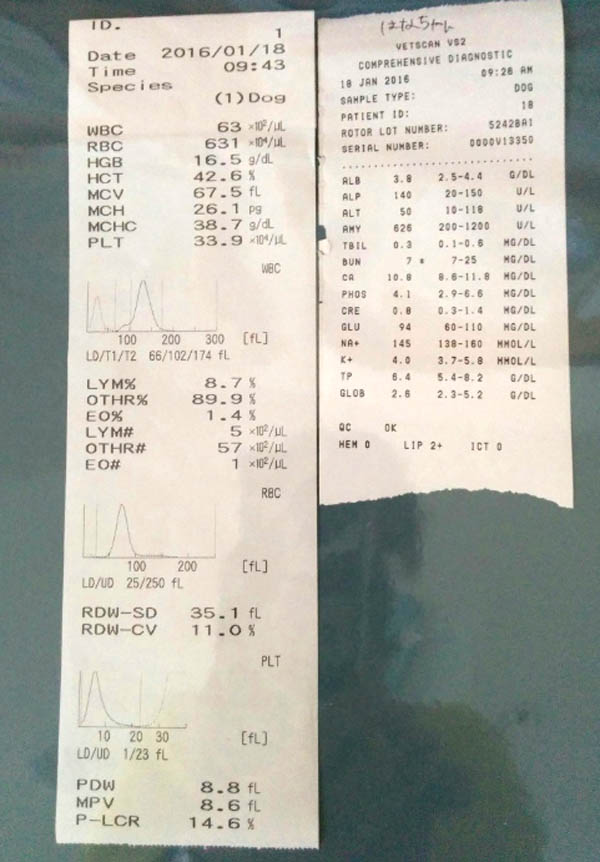 f:id:masami_takasu:20180724091633j:plain