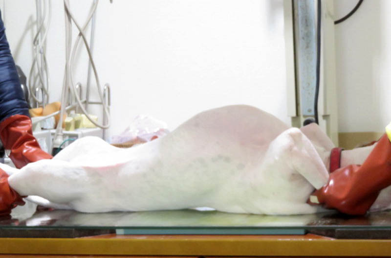 f:id:masami_takasu:20180724091916j:plain