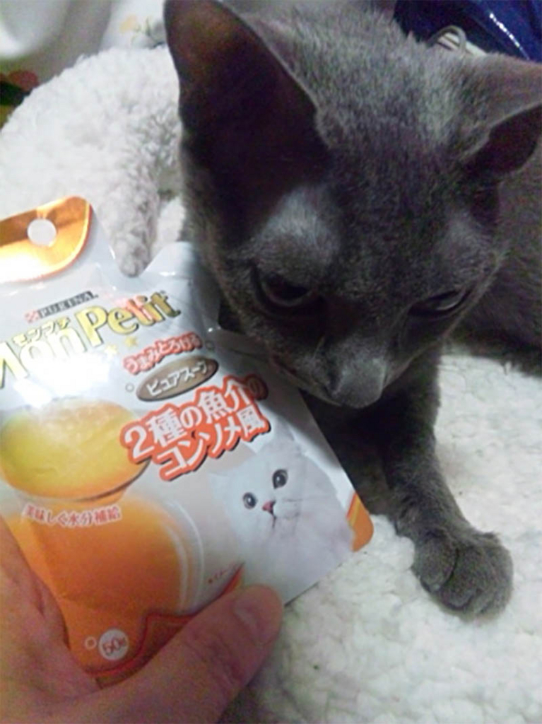 f:id:masami_takasu:20180725184335j:plain f:id:masami_takasu:20180725184335j:plain