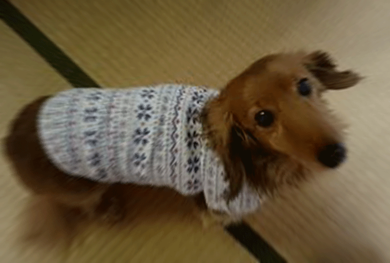 f:id:masami_takasu:20180729062041g:plain