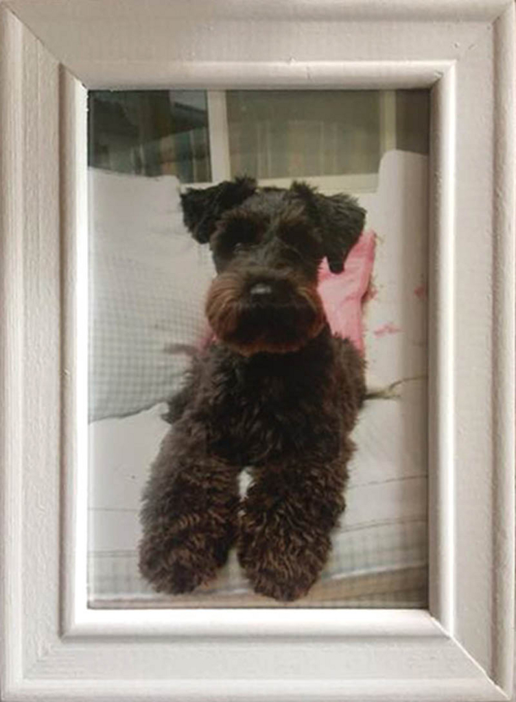 f:id:masami_takasu:20180729153557j:plain