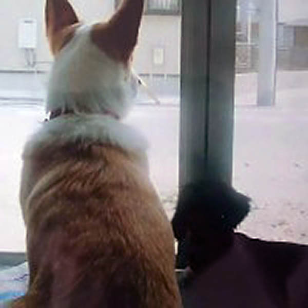 f:id:masami_takasu:20180729180350j:plain