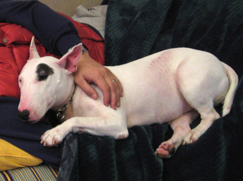 f:id:masami_takasu:20180731014736j:plain