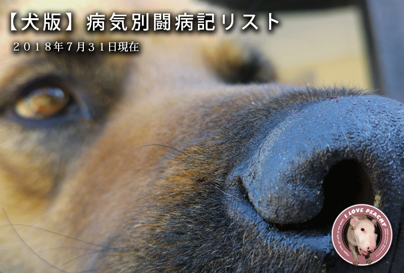 f:id:masami_takasu:20180731085741g:plain