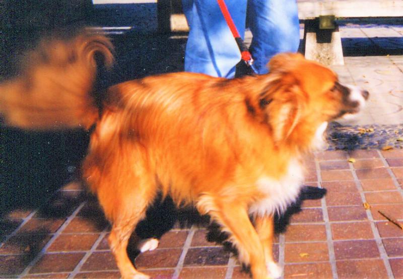 f:id:masami_takasu:20180802160320j:plain