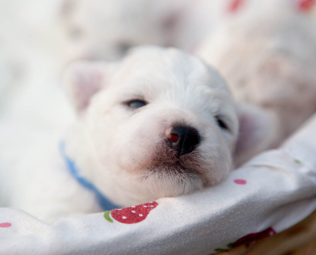 f:id:masami_takasu:20180802172448j:plain