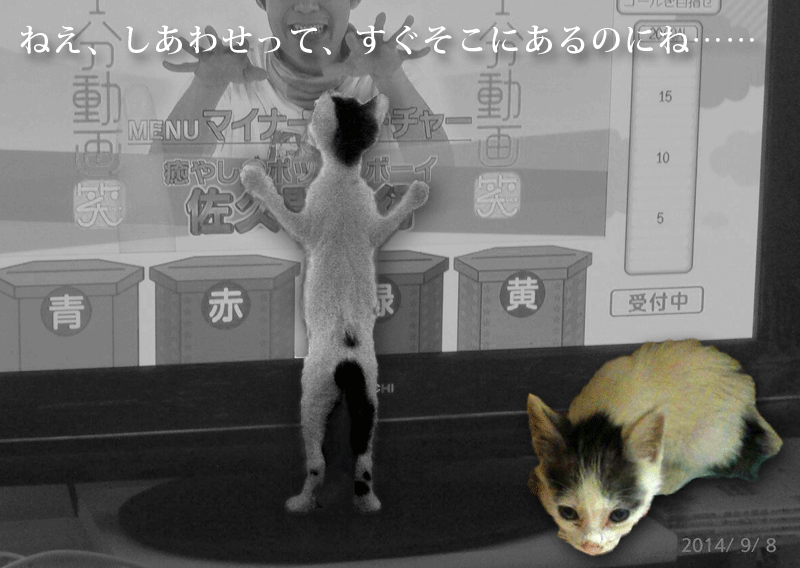 f:id:masami_takasu:20180808095859g:plain f:id:masami_takasu:20180808095859g:plain