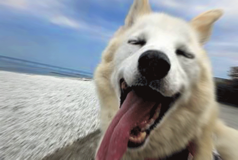 f:id:masami_takasu:20180808162120g:plain f:id:masami_takasu:20180808162120g:plain