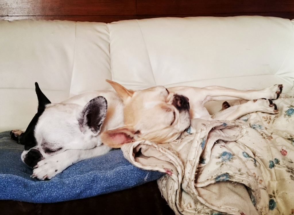 f:id:masami_takasu:20180814130802j:plain