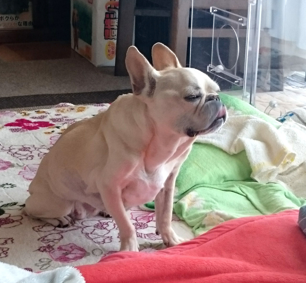 f:id:masami_takasu:20180814131450j:plain