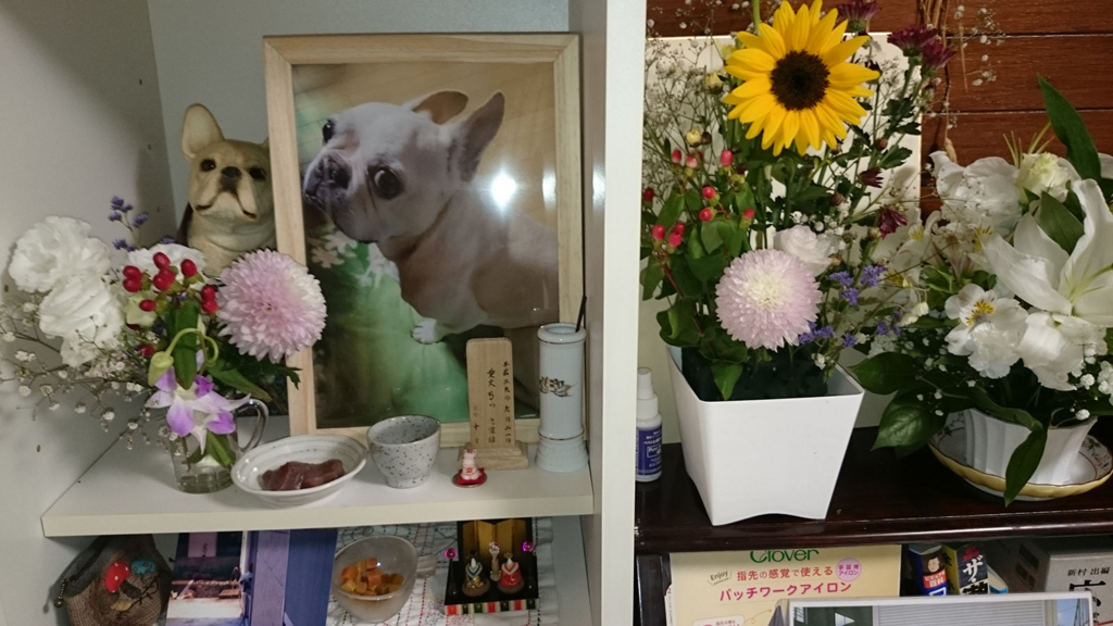 f:id:masami_takasu:20180814134025j:plain