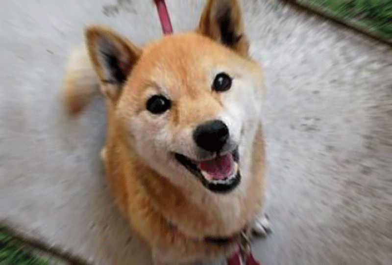 f:id:masami_takasu:20180815193918g:plain