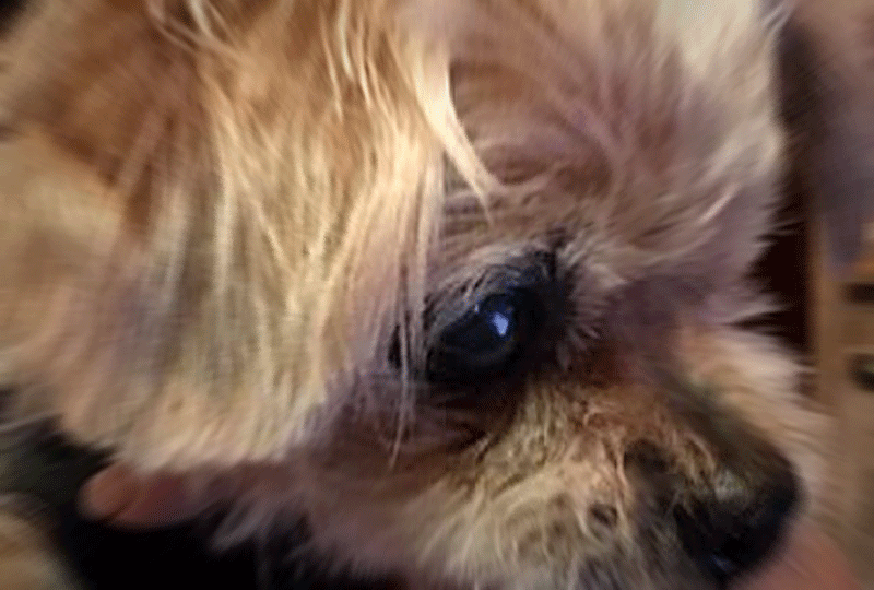 f:id:masami_takasu:20180816161757g:plain