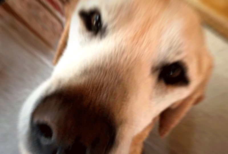 f:id:masami_takasu:20180819084801g:plain f:id:masami_takasu:20180819084801g:plain