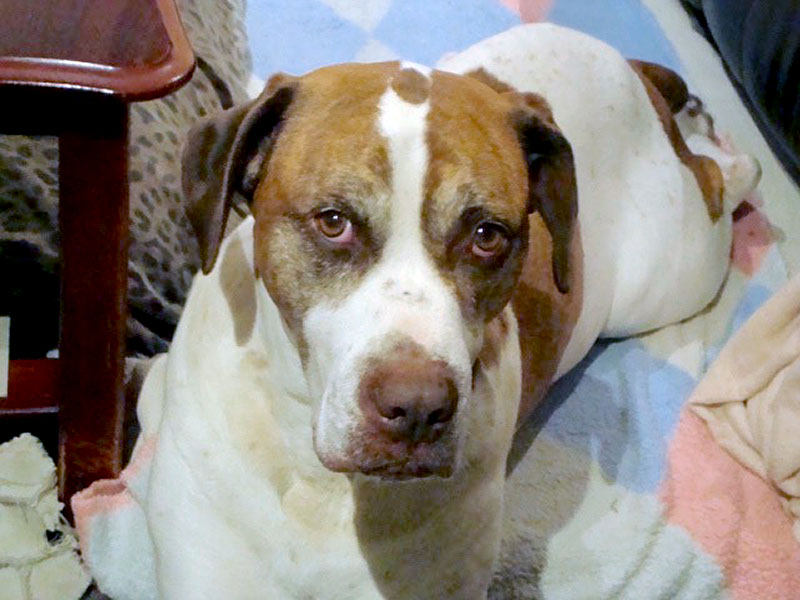 f:id:masami_takasu:20180823132322j:plain