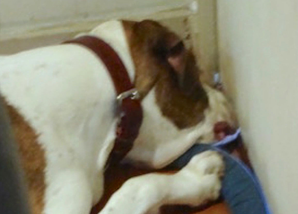 f:id:masami_takasu:20180823133003j:plain