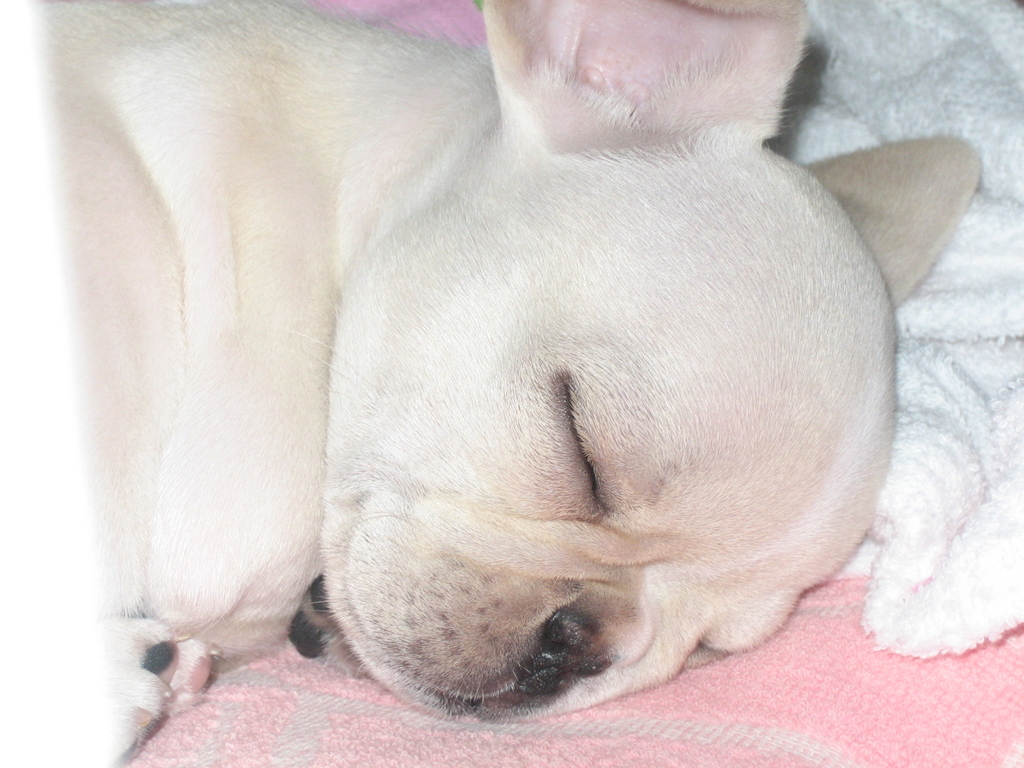 f:id:masami_takasu:20180830230754j:plain