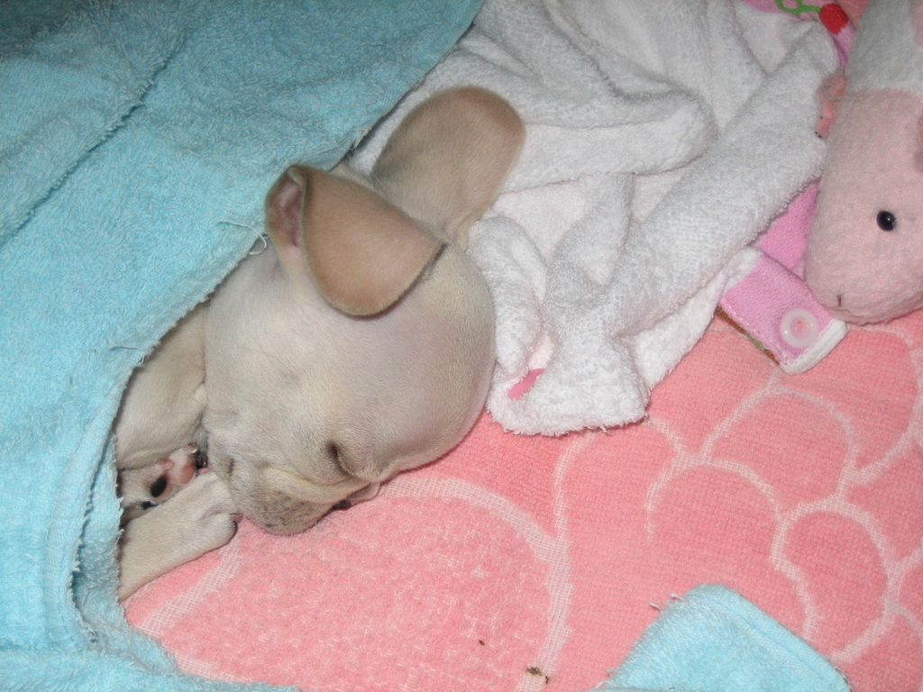 f:id:masami_takasu:20180830230824j:plain