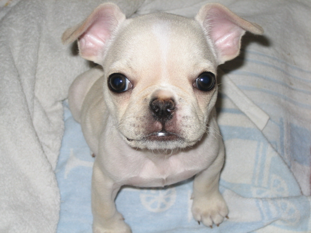 f:id:masami_takasu:20180830230846j:plain